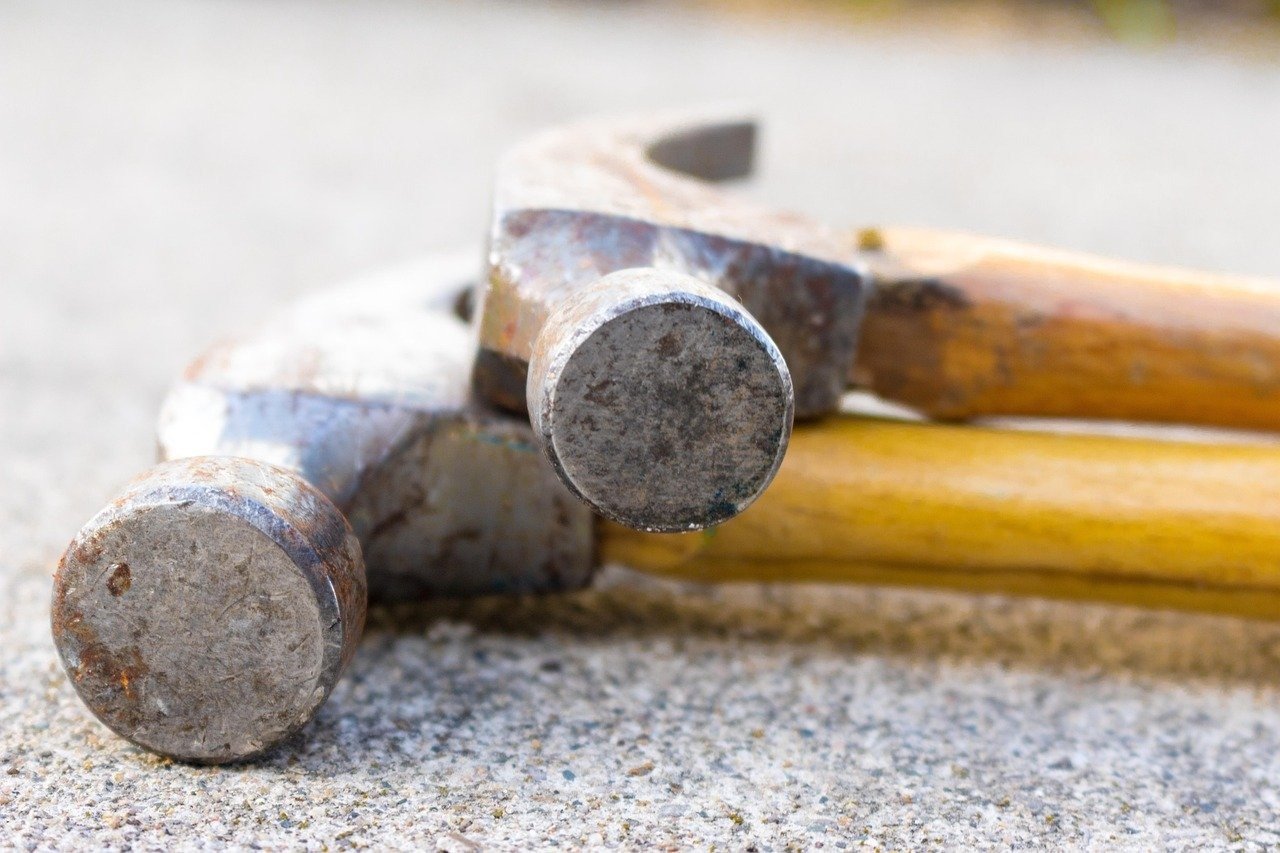 Personal Microclimate Ecosystem Creation Prompt