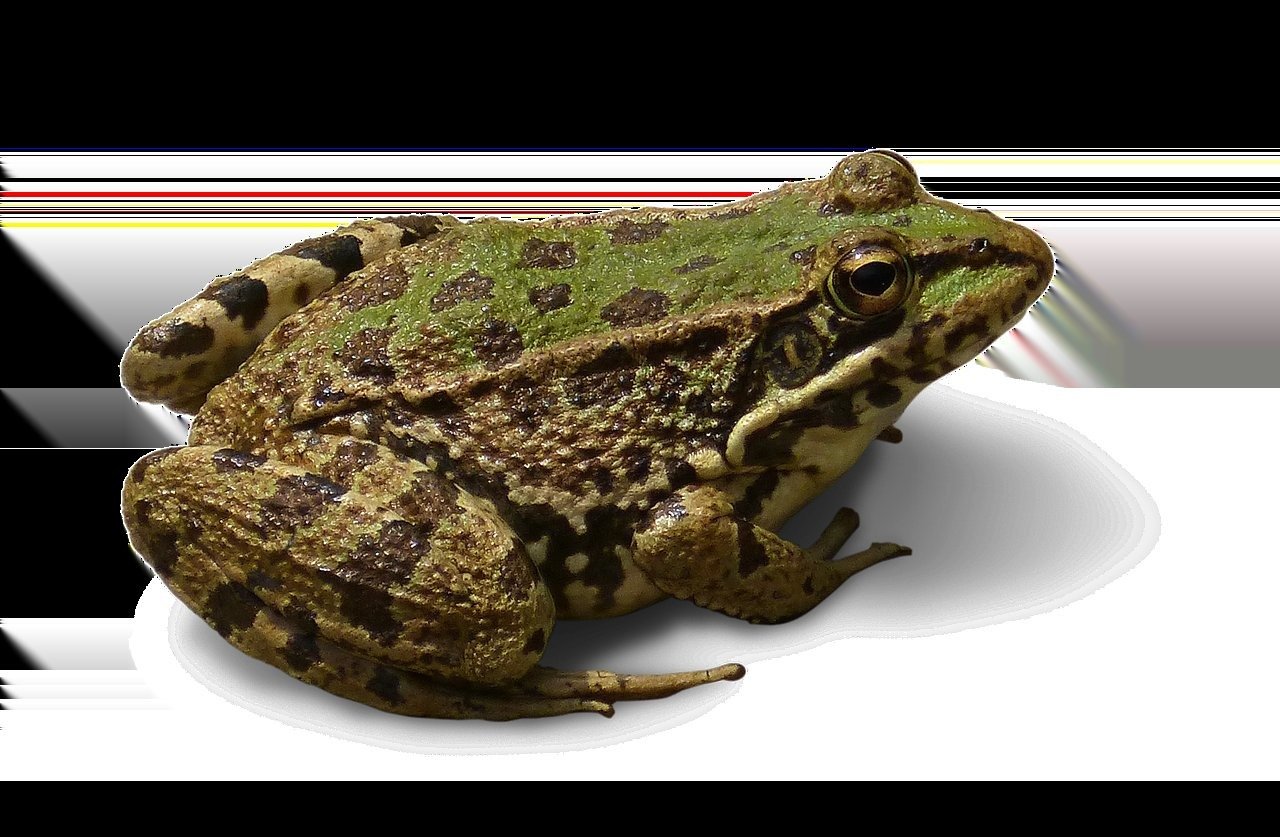 AI News Today | Copilot AI News: New Feature Rollout Begins