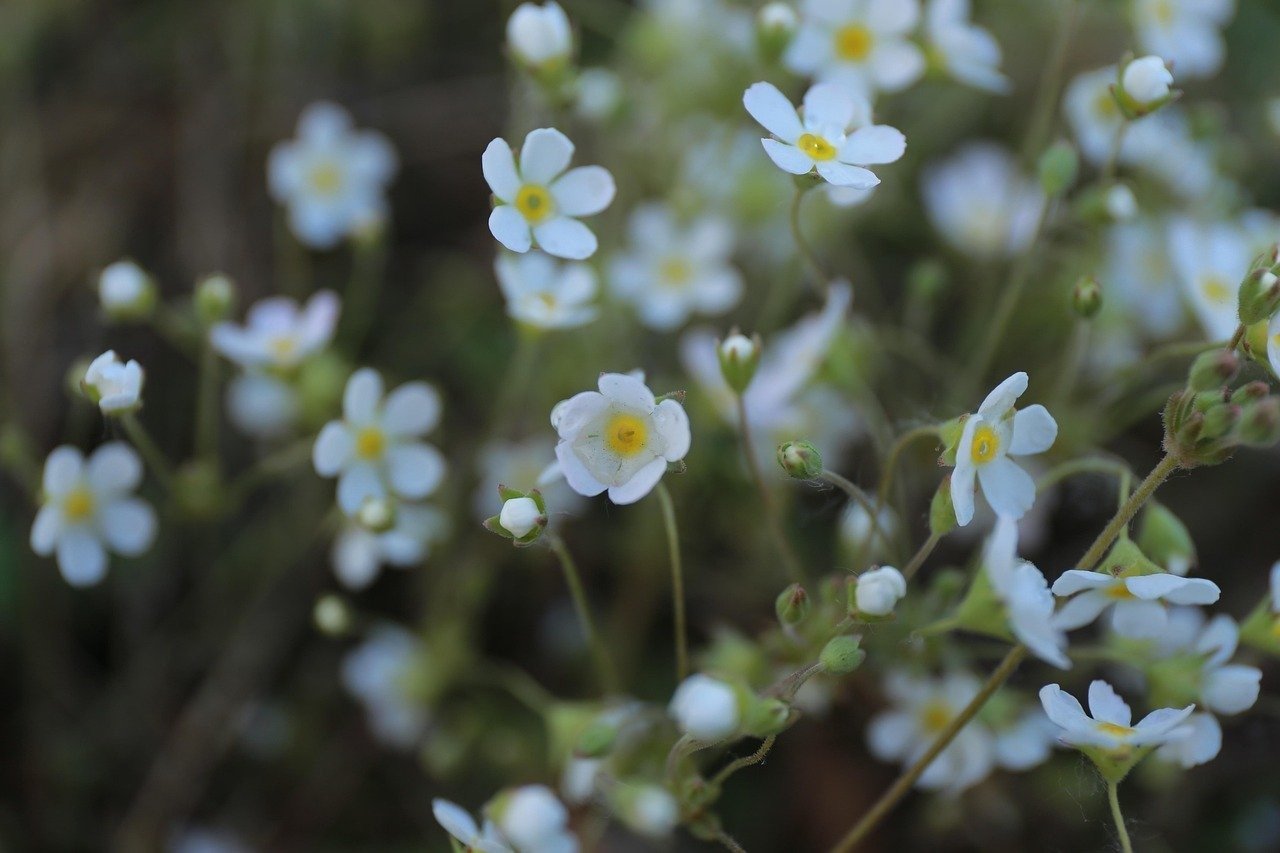 generative web series concept prompt