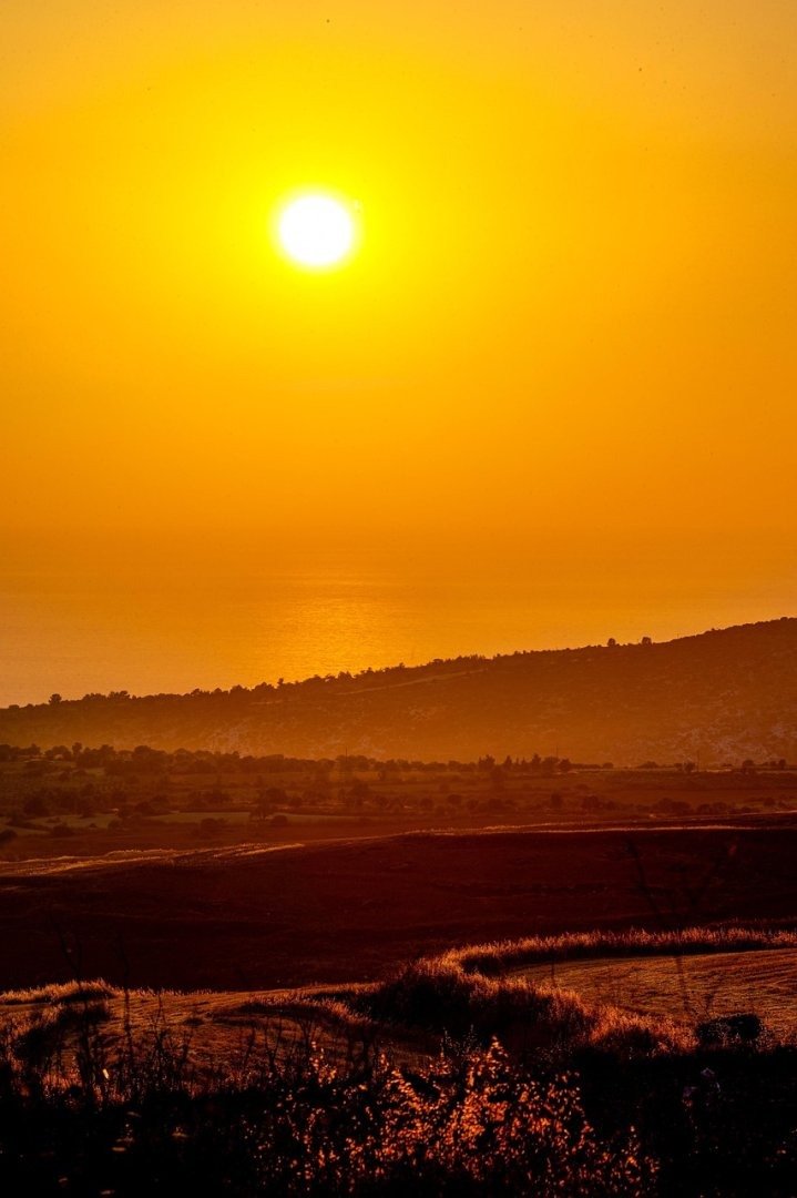 clandestine ai profit generation prompt