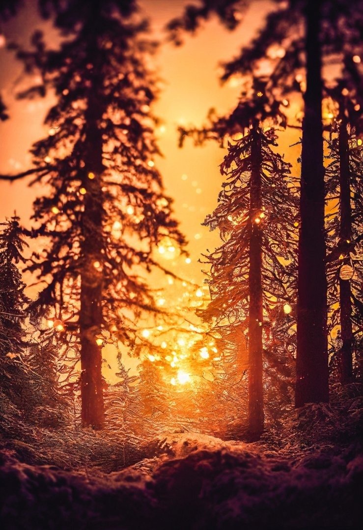 next-level startup growth prompt