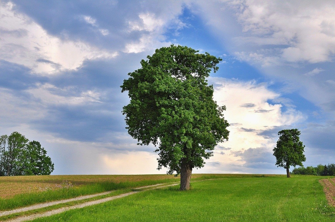 trending viral ai prompt for short video