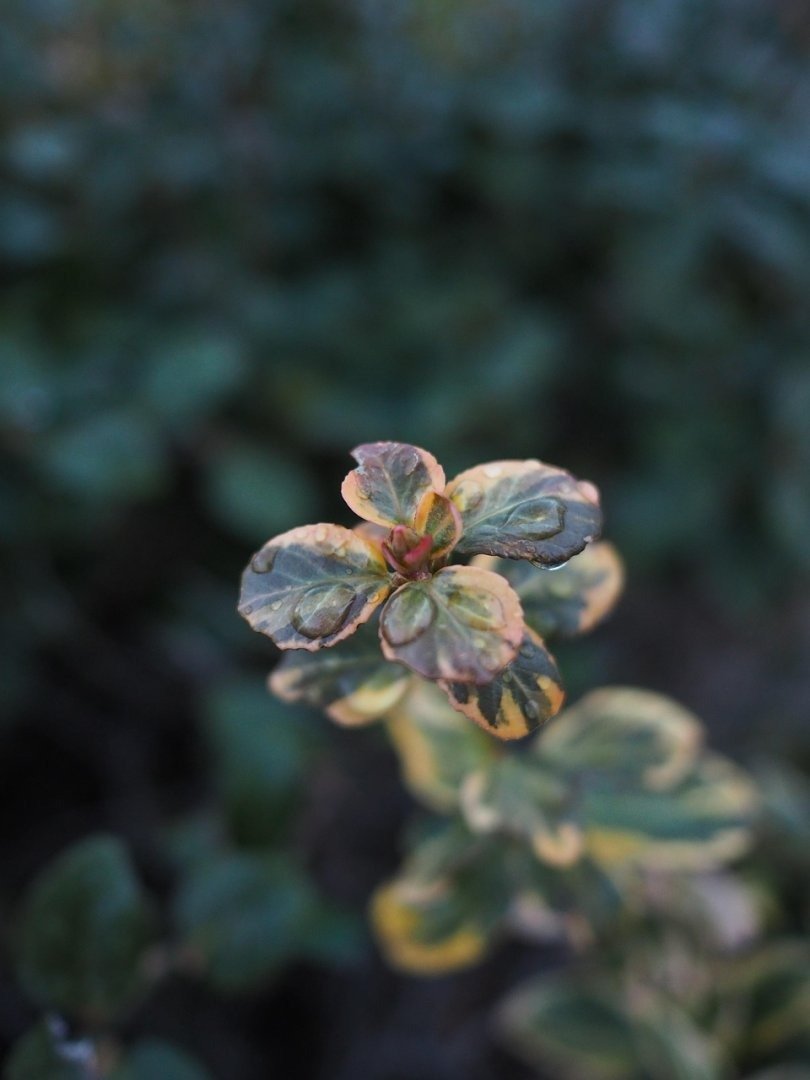 AI News Today | ChatGPT News: New Model Update Released