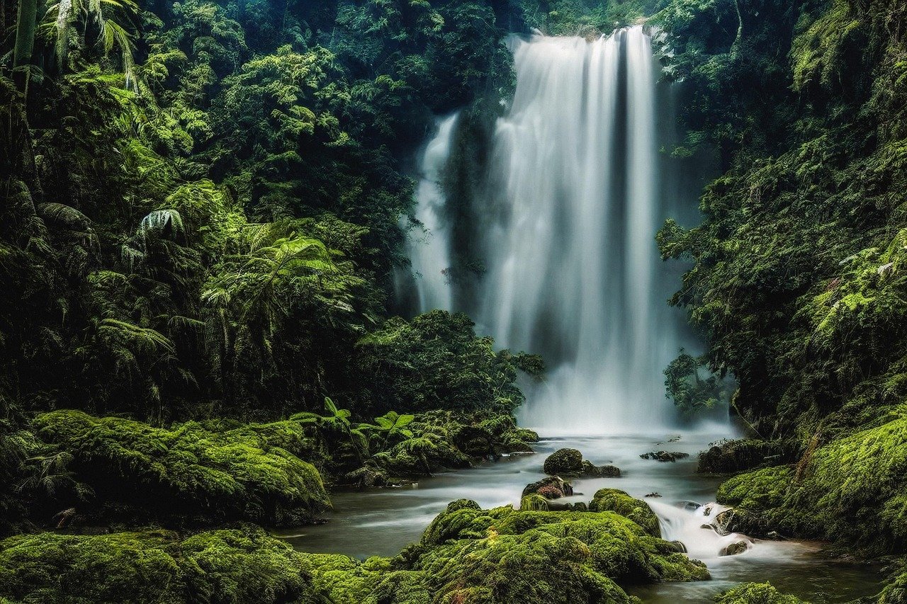 Effective Email Marketing Campaign Prompt