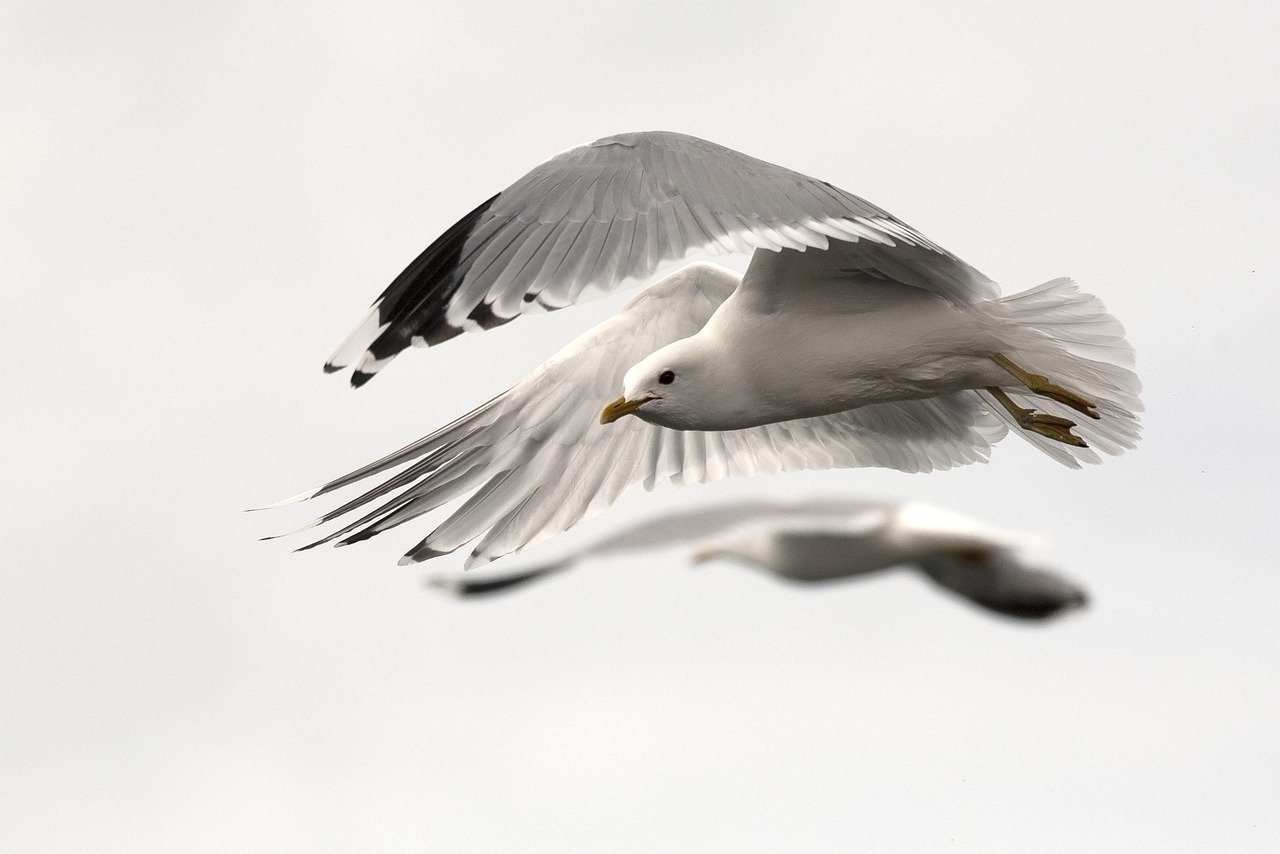 AI News Today | Copilot AI News: New Features Detailed